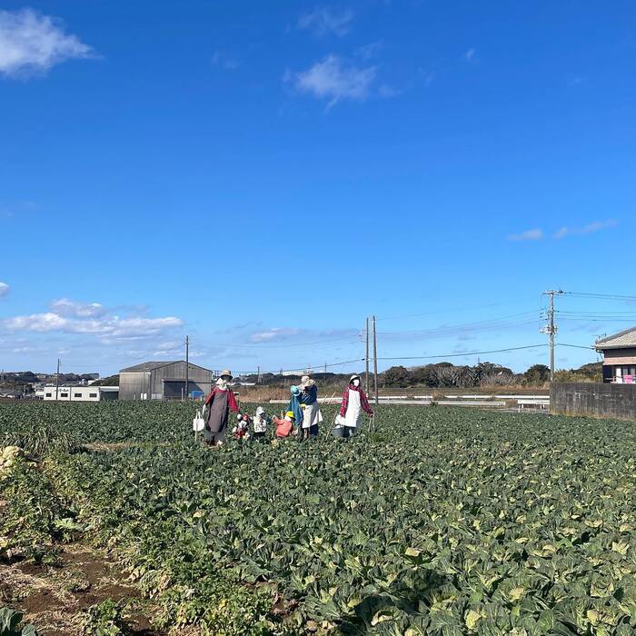 画像849
