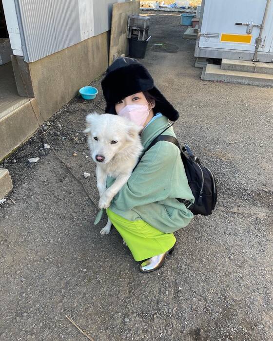 画像858